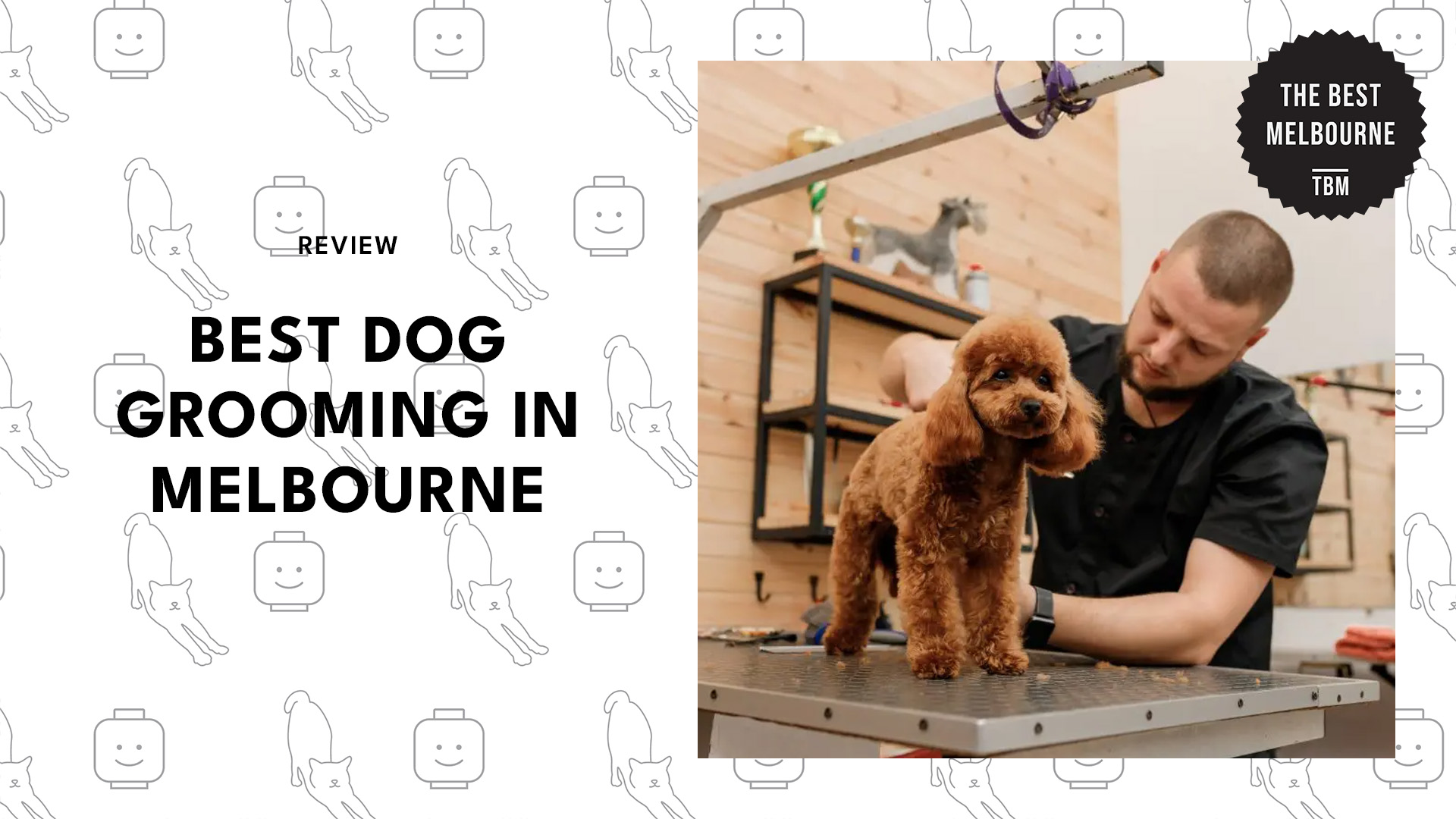 best-dog-grooming-melbourne-banner