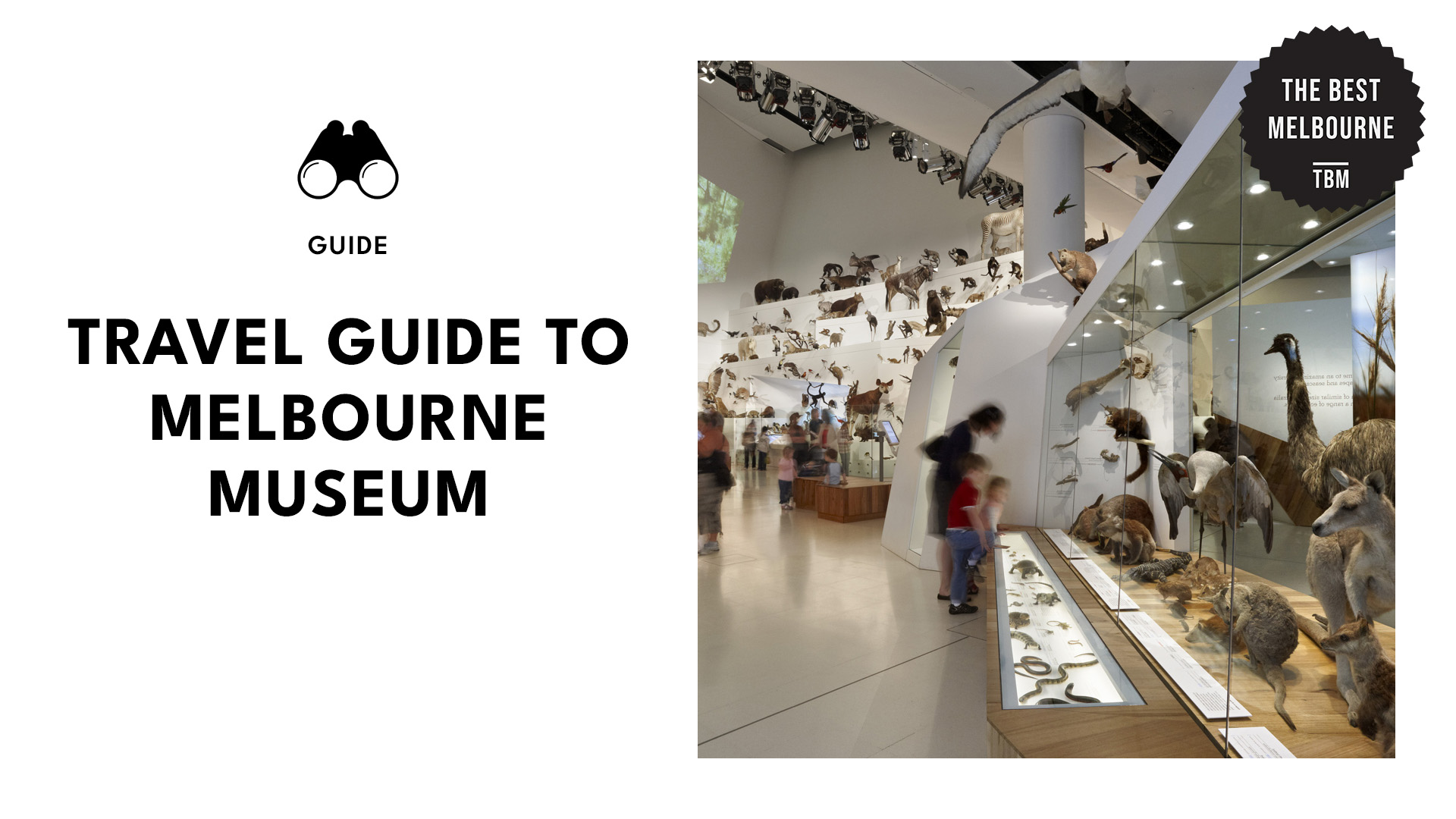 melbourne-museum-banner