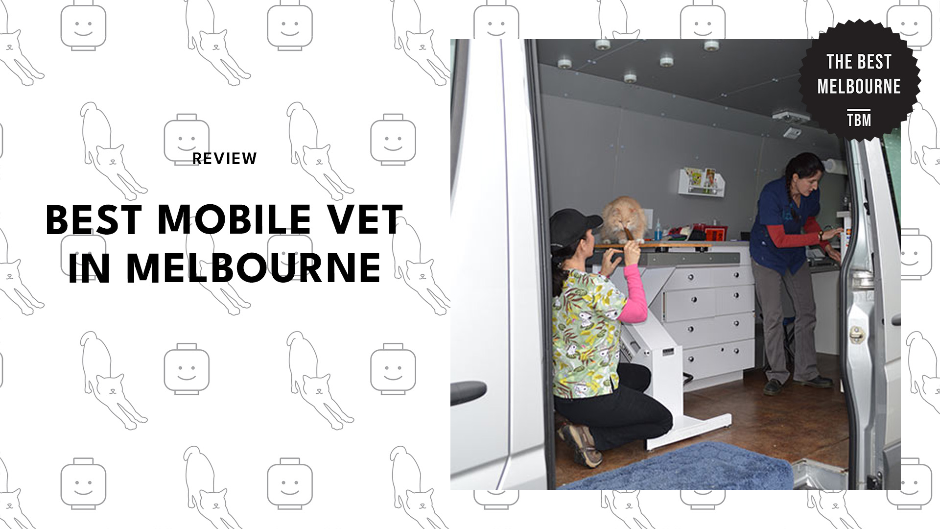 best-mobile-vet-melbourne-banner