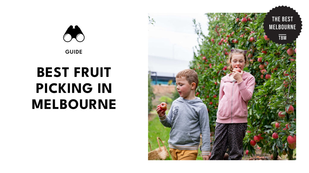 Top family fruit picking spots near Melbourne