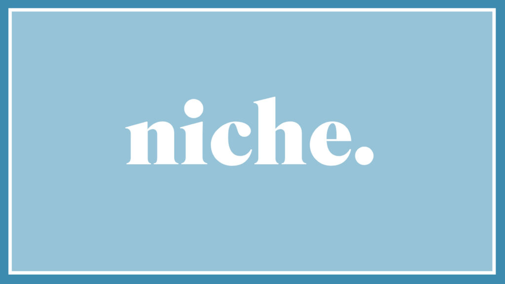 niche-plastic-surgery-logo