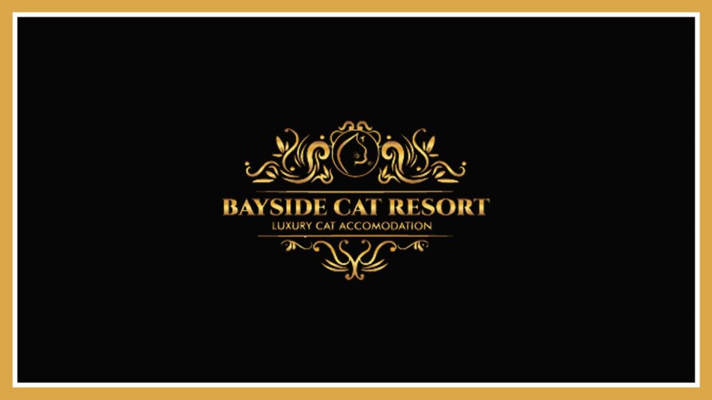 bayside-cat-resort