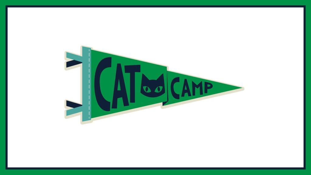 cat-camp-cattery