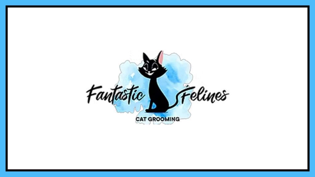 fantastic-felines-cat-grooming