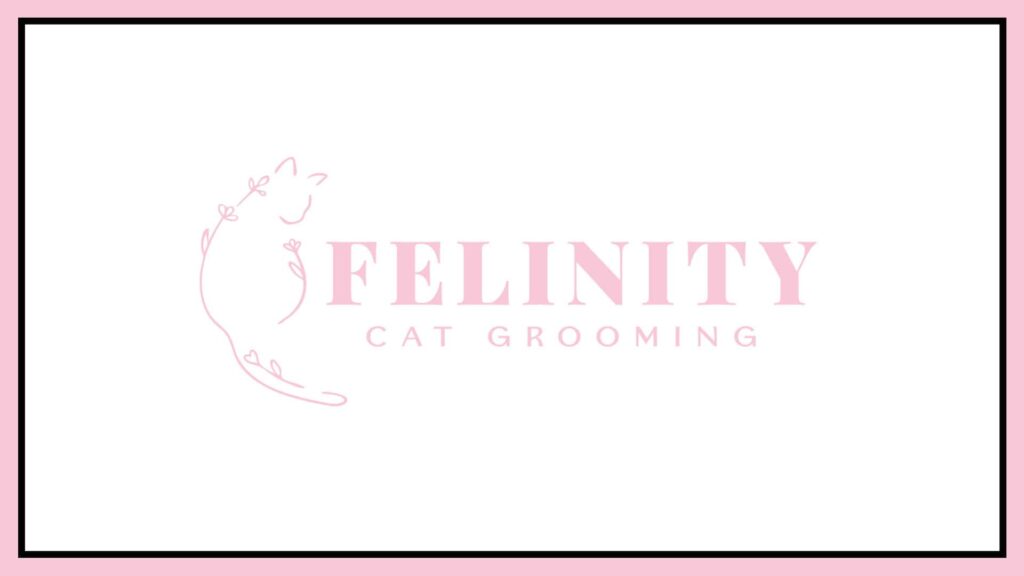 felinity-cat-grooming