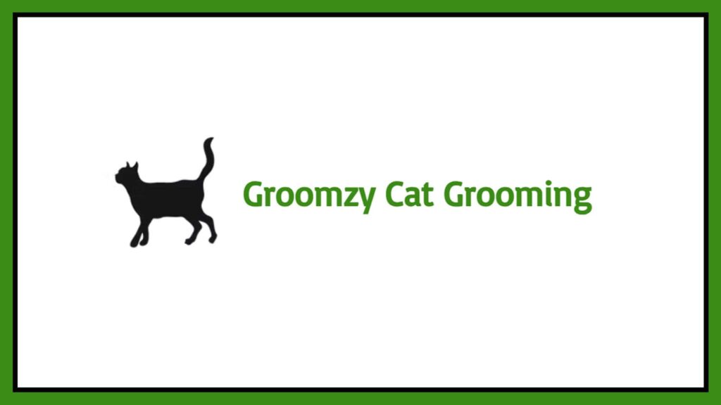 groomzy-cat-grooming
