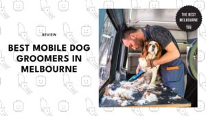 4 best mobile dog groomers in Melbourne you should know [2026 ]