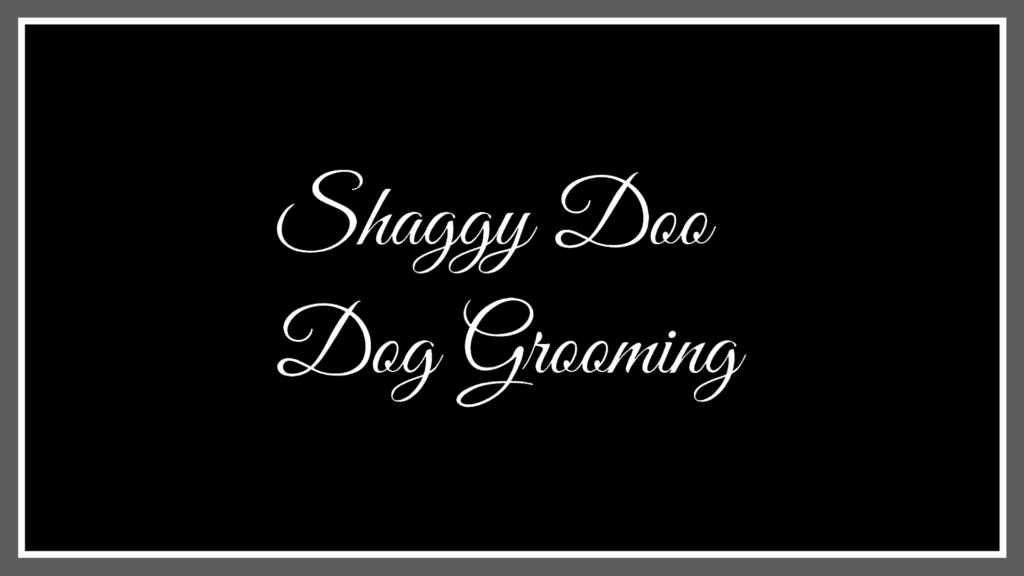 shaggy-doo-mobile-dog-grooming