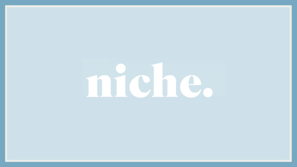 niche-plastic-surgery