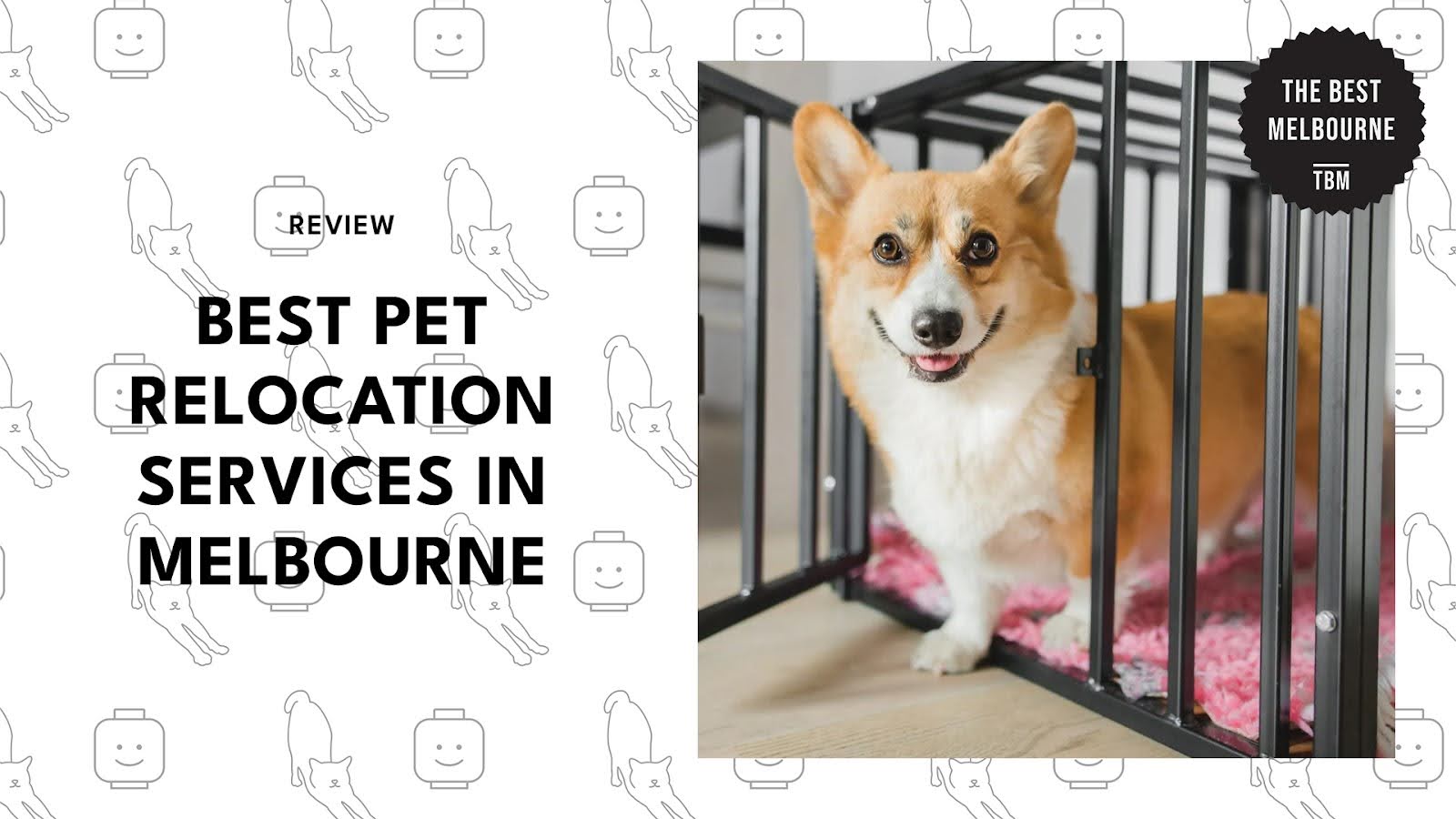 pet-relocation-melbourne-banner